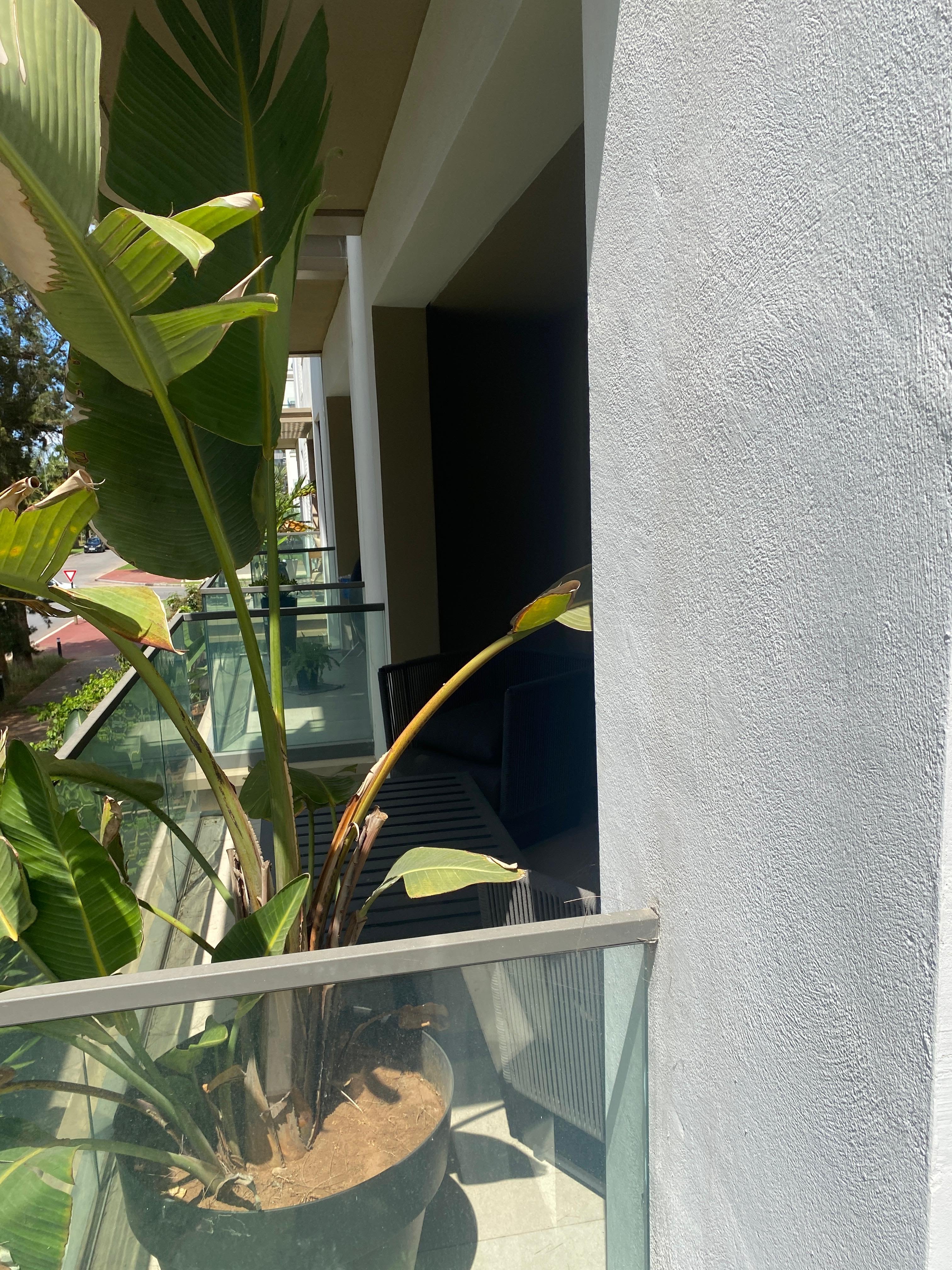 شقة للبيع - غرفة نوم واحدة - إيغل هيلز - 7